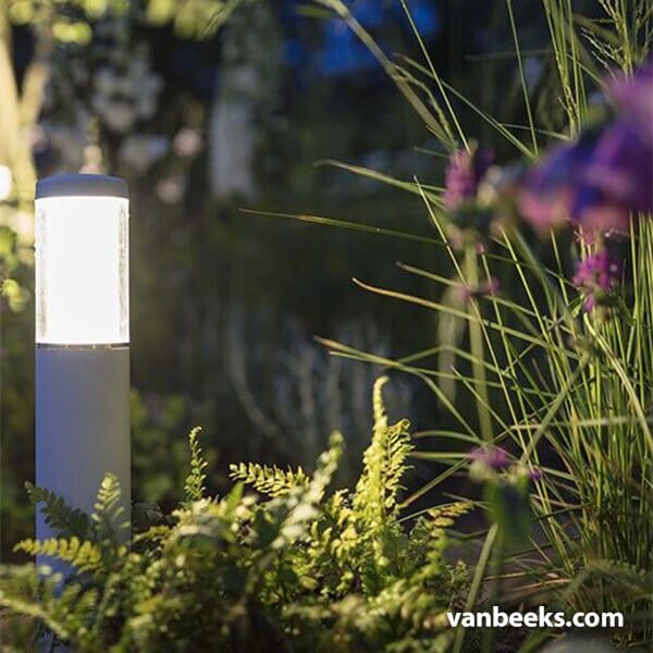 in-lite LIV Low 12v Preview